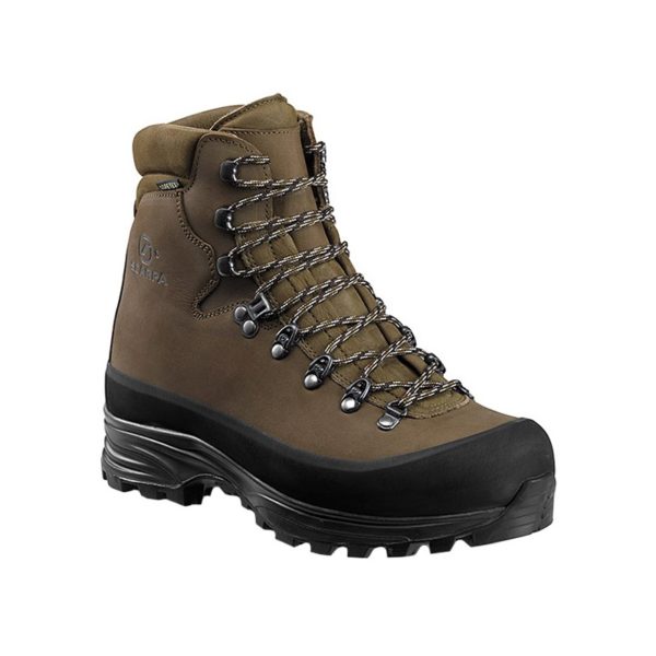 Ladakh Gtx